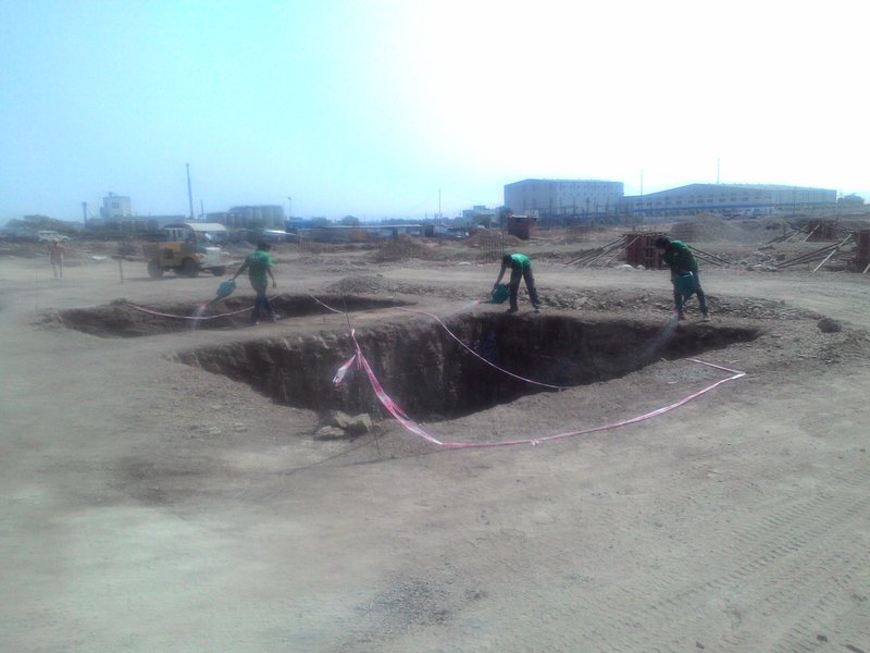 24x7PestManagementServices